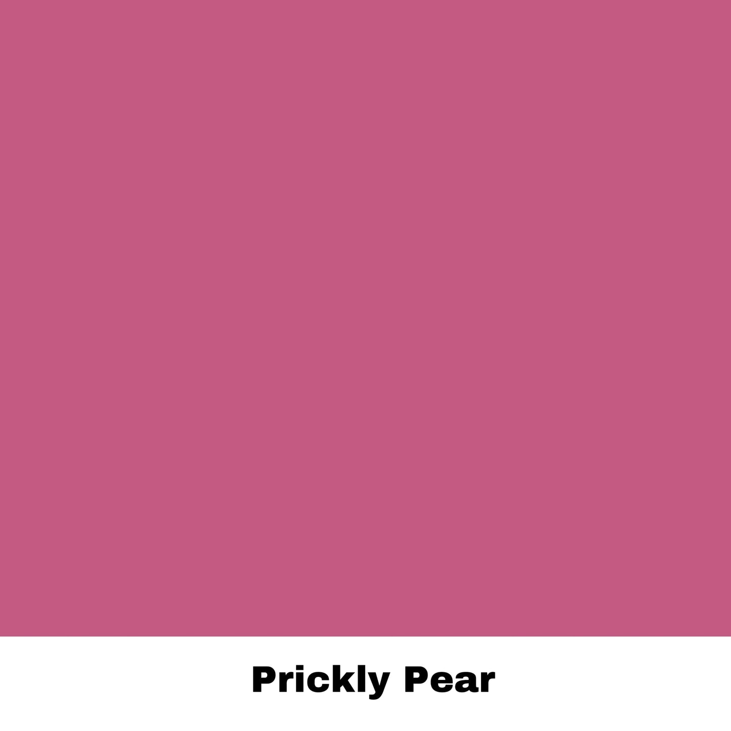 All-in-One Mineral Paint | Dixie Belle Silk | Prickly Pear | Deep Cool Pink All-in-One Water Based Primer + Topcoat | Durable Furniture Paint | Low Reflective Finish