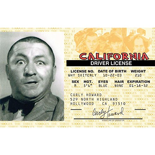 Signs 4 Fun Parody ID | Stooges - Curly Driver’s License | Fake ID Novelty Card | Collectible Trading Card Driver’s License | Novelty Gift for Holidays | Made in The USA