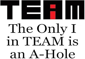Only I in team Magnet