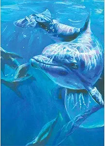 Dolphin Magnet