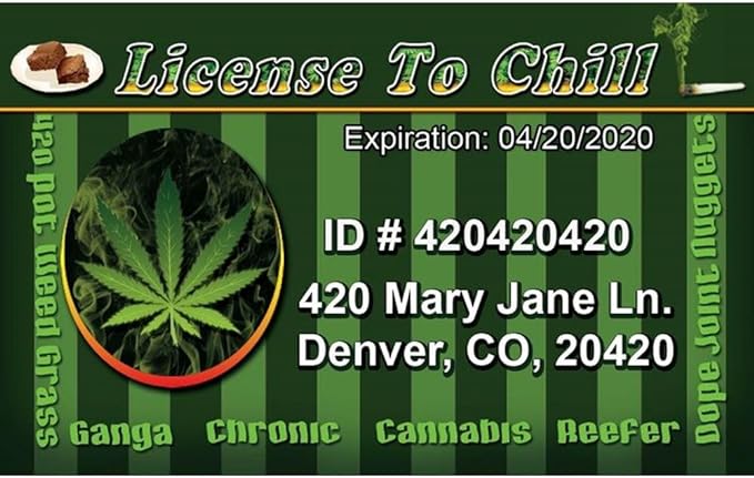 Parody Driver’s License | Chill ID | Fake ID Novelty Card | Collectible Trading Card Driver’s License | Novelty Gift for Holidays | Made in The USA