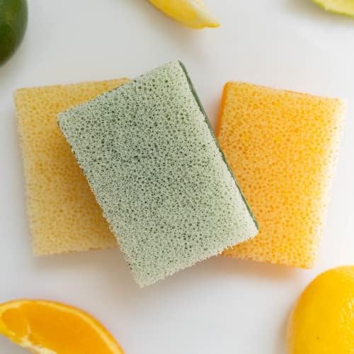 Dixie Belle Scrubby Soap | Orange Citrus Scented Natural Soap Infused Scrubber | Cleaning Sponge for Paintbrushes, Gardening, Kitchen | Multipurpose Soap