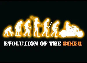 Evolution of the Biker Magnet
