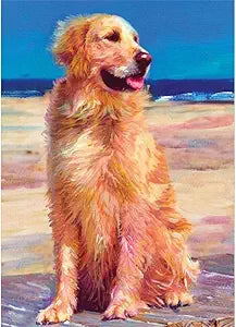 G Retriever boardwalk Magnet