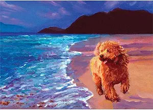 Poodle, Apricot Magnet