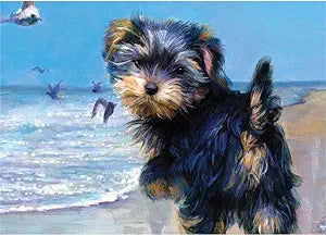 Yorkshire Terrier on Beach Magnet