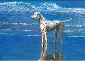 Dalmation on Beach Magnet