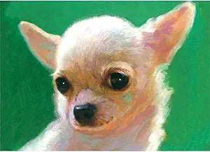 Chihuahua Puppy Magnet