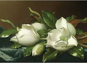 Johnson-Heade - Magnolias Magnet