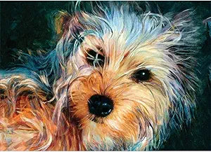 Yorkshire Terrier Magnet