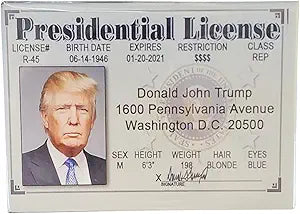 President Trump Magnet